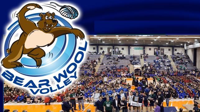 Pallavolo giovanile - 94 squadre per il Bear Wool Volley: 7 sono straniere