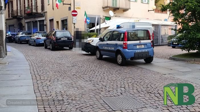 cane biella cane biella