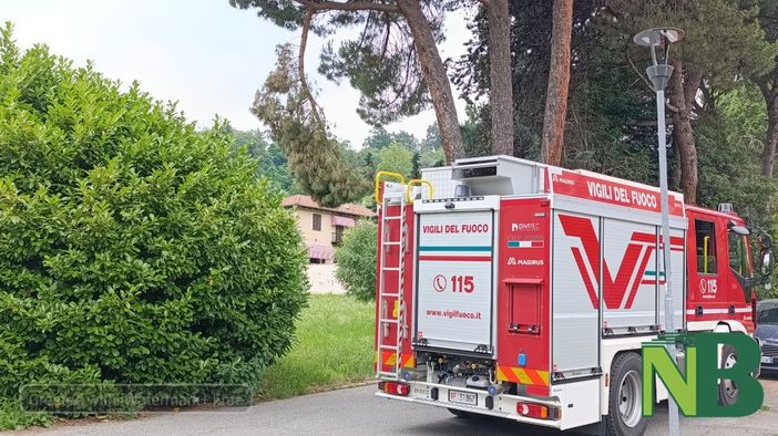 Chiavazza: Ramo pericolante dove giocano i bambini. Vigili del Fuoco rimettono in sicurezza l'area - Foto Baù per newsbiella