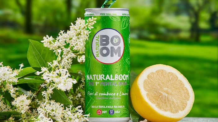 Bevanda al sambuco: proprietà e consigli d'uso