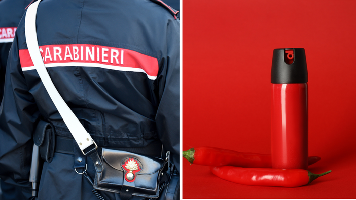 Notte di risse nel Biellese: raffica di interventi per le Forze dell'Ordine - Foto di repertorio.