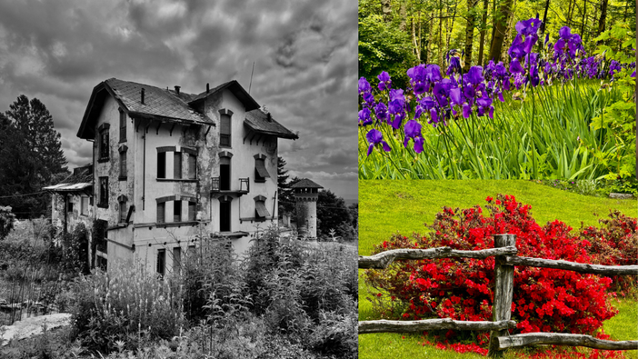 La Serra in e-bike: un percorso tra natura, tecnica e divertimento La Serra in e-bike: un percorso tra natura, tecnica e divertimento