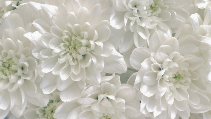 Il Consiglio dell'Ordine degli Avvocati di Biella partecipa al lutto dei familiari del compianto Avv. Aldo Antonio Tavella