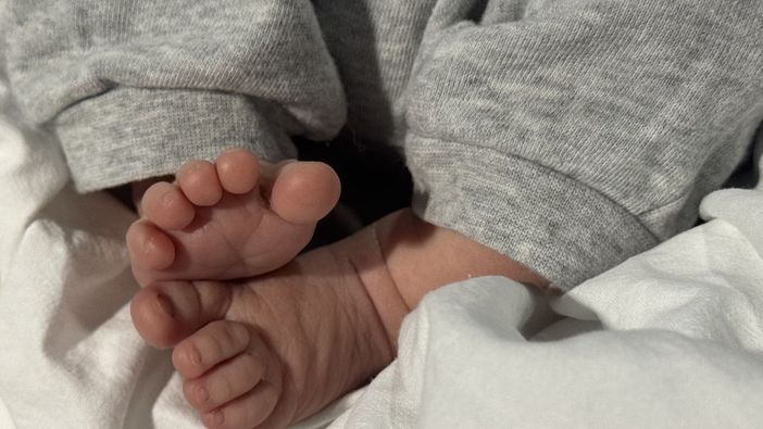 Ospedale di Biella, boom di fiocchi a Ferragosto: 5 maschi e 4 femmine in un solo giorno Ospedale di Biella, boom di fiocchi a Ferragosto: 5 maschi e 4 femmine in un solo giorno