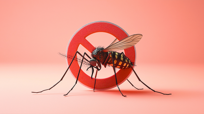 Zanzare: ogni cittadino può contribuire a contenerne la diffusione