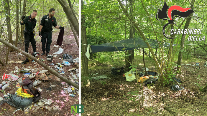 Droga nei boschi del Biellese: segnalazioni, denunce ed espulsioni