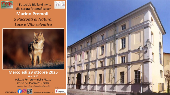 Biella, serata fotografica con Marino Premoli: “Cinque racconti di natura, luce e vita selvatica” Biella, serata fotografica con Marino Premoli: “Cinque racconti di natura, luce e vita selvatica”
