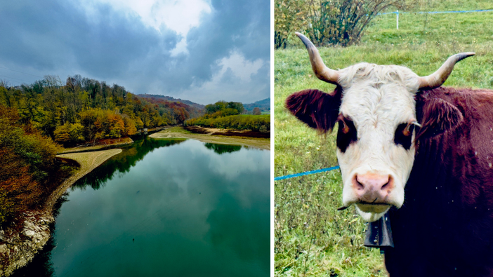 Valle Elvo in e-bike: cielo uggioso, natura e animali