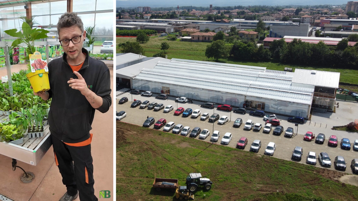 Orto, piantine giuste al momento giusto: i consigli di Gardenville Biella