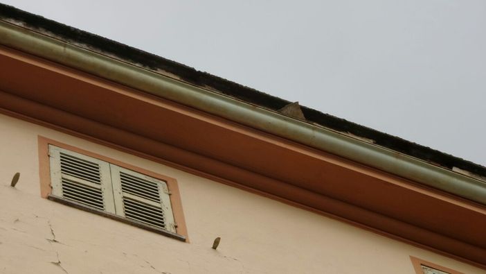 Foto Giuliano Fighera Foto Giuliano Fighera