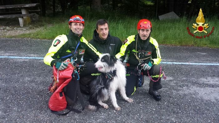 Giotto è tornato a casa. Recuperato dall'elicottero dei Vigili del Fuoco al Mucrone