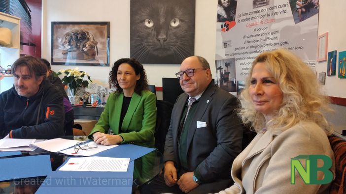 Punto Animal Friendly in un anno ha risposto a 170 richieste di aiuto