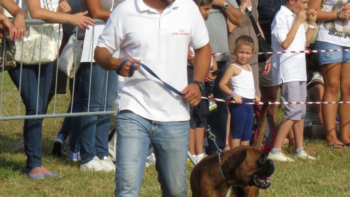 Podismo - Questa sera si corre a Massazza