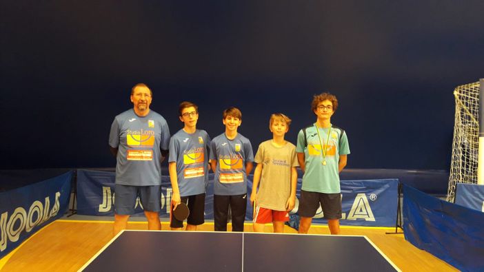 tennistavolo vigliano tennistavolo vigliano