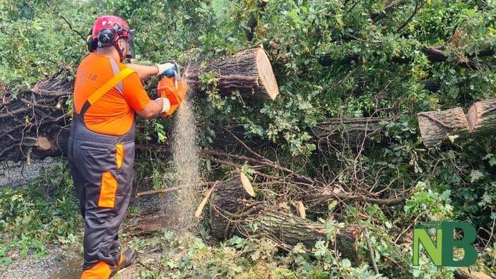 Maltempo, Aib al lavoro a Verrone Maltempo, Aib al lavoro a Verrone