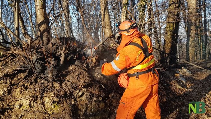 aib vigili del fuoco