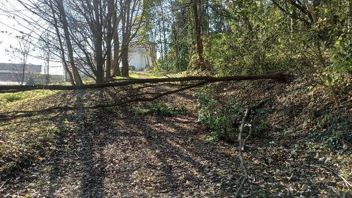 Un lettore: "E' giusto segnalare quando il Comune risponde prontamente"