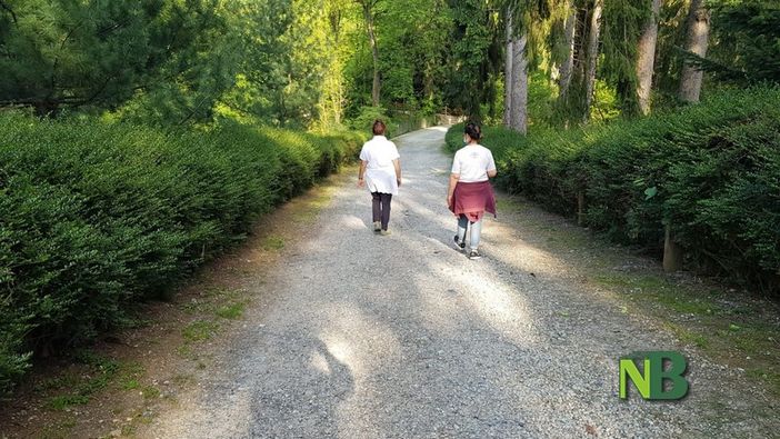 Foliage nel parco Burcina: subito esaurite le prime due date Foliage nel parco Burcina: subito esaurite le prime due date