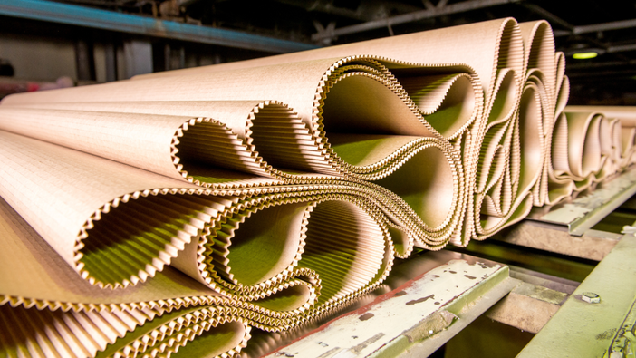 Raccolta di carta e cartone: Biella sopra la media italiana