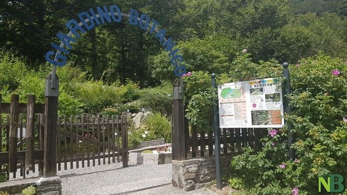 Pollicini verdi: laboratorio per bambini al giardino botanico di Oropa