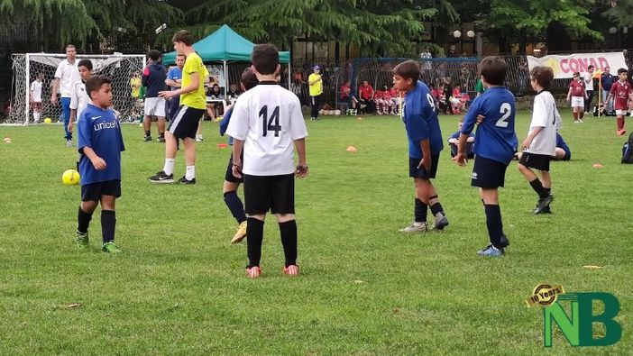 varesano torneo varesano torneo