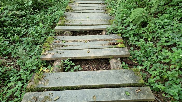 Degrado al Gorgomoro, la segnalazione di un lettore: "Assi in legno divelti e ammalorati" Degrado al Gorgomoro, la segnalazione di un lettore: "Assi in legno divelti e ammalorati"