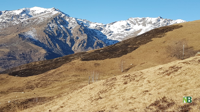 incendio tracciolino vigili aib piromani incendio tracciolino vigili aib piromani