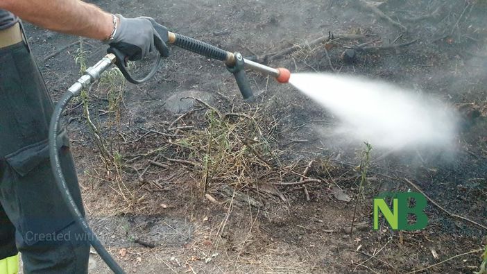 Sottobosco in fiamme, possibile causa la mano scellerata di un piromane - Foto Benedetti per newsbiella.it