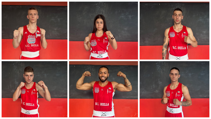 Pugilato: torna a Biella “Boxe sotto le Stelle”.