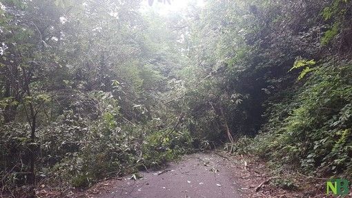 Foto di repertorio Foto di repertorio