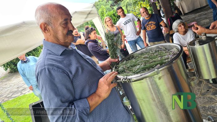 Mezzana: Evento immersivo all'Azienda Agricola Serafia, la fioritura della lavanda incanta i visitatori - FOTO Ciccarelli per newsbiella.it Mezzana: Evento immersivo all'Azienda Agricola Serafia, la fioritura della lavanda incanta i visitatori - FOTO Ciccarelli per newsbiella.it