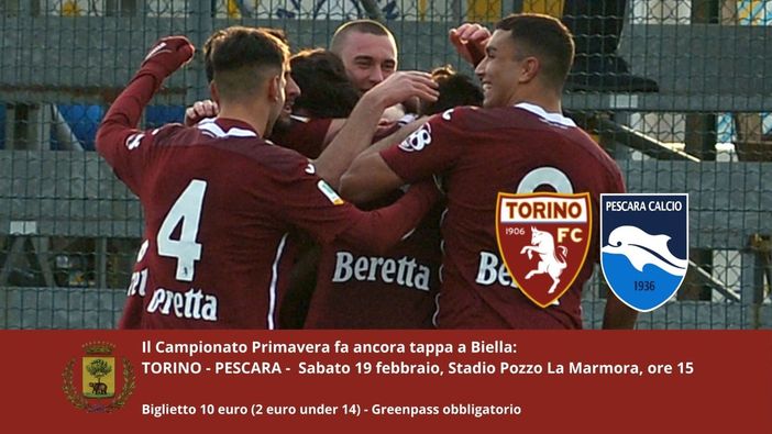 torino pozzo