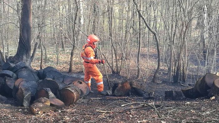 Foto Mauro Benedetti Foto Mauro Benedetti