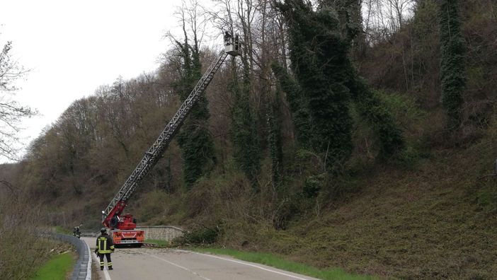 Foto Benedetti Foto Benedetti