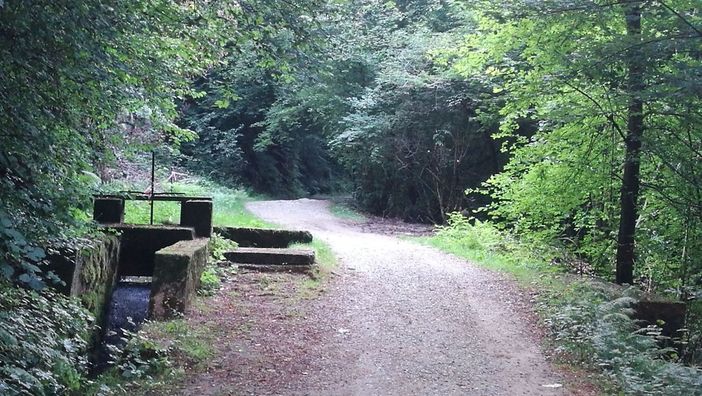 Biella, 4 aree pic-nic al Gorgomoro - Foto archivio newsbiella.it