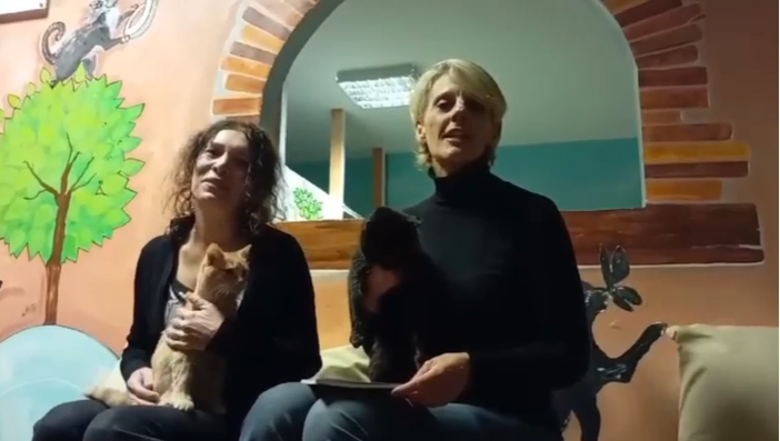 Un tè e un libro per aiutare i gatti di Miciolandia Un tè e un libro per aiutare i gatti di Miciolandia