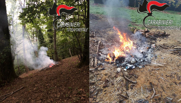 Carabinieri, sanzionati alcuni biellesi: attenzione ai fuochi e agli abbruciamenti in Piemonte FOTO Carabinieri, sanzionati alcuni biellesi: attenzione ai fuochi e agli abbruciamenti in Piemonte FOTO