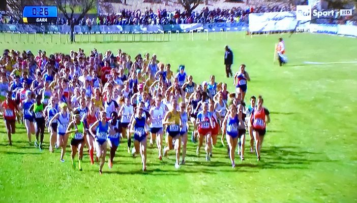 Foto dell'edizione 2017 Foto dell'edizione 2017