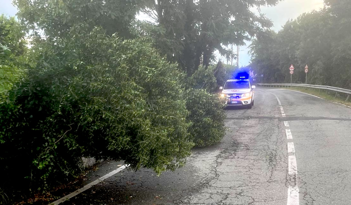 maltempo protezione civile