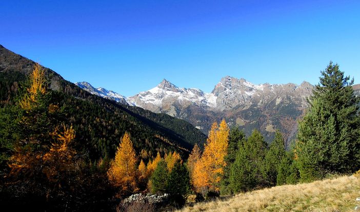 Dalla Pietro Micca una proposta per gli amanti della natura