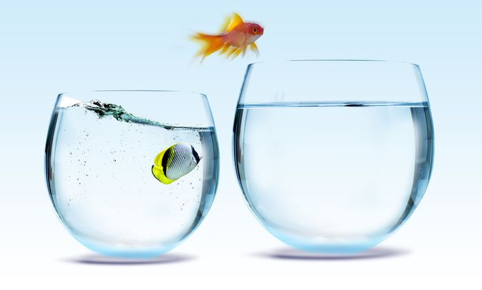 21 giorni prima di cambiare