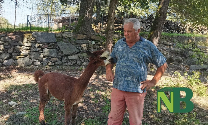 roppolo oasi roppolo oasi