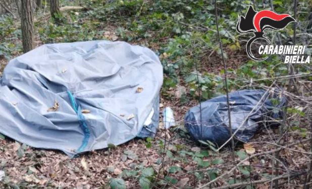 Contrasto allo spaccio di stupefacenti, importante operazione dei Carabinieri nei boschi della Valle Elvo