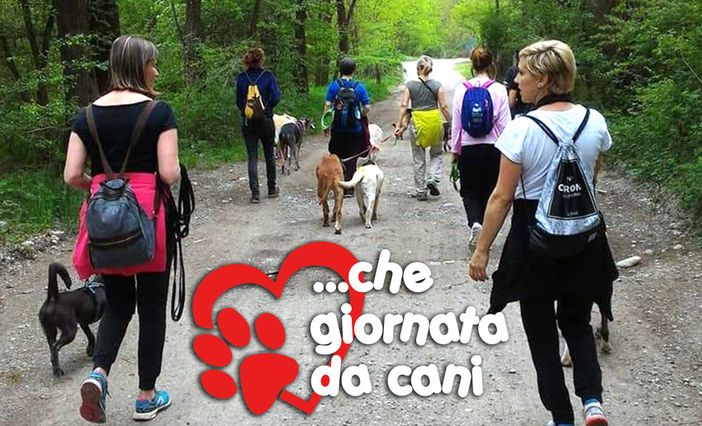 Foto Andirivieni Foto Andirivieni