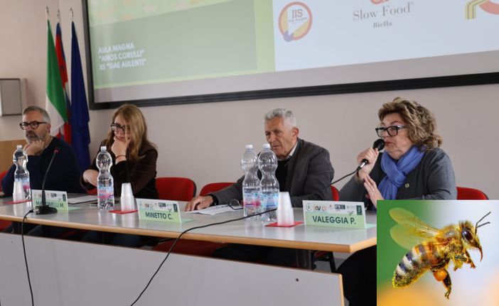 Giornata Mondiale degli Impollinatori: un progetto biellese per proteggere la biodiversità Giornata Mondiale degli Impollinatori: un progetto biellese per proteggere la biodiversità