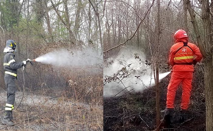 Foto Studio Fighera/Aib Foto Studio Fighera/Aib