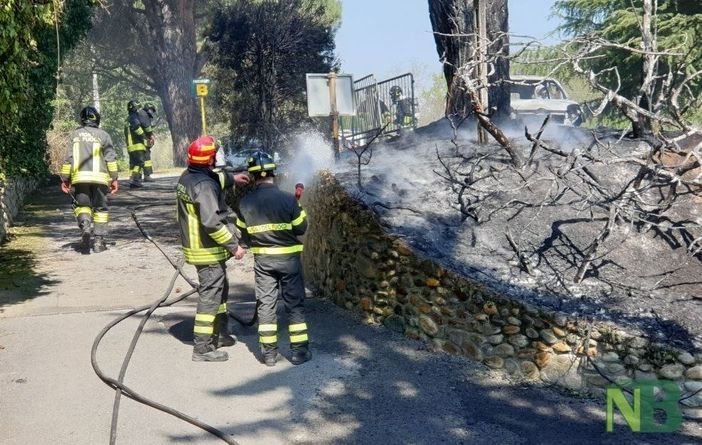Incendio a Cossato, rogo al Living Garden: veicoli carbonizzati e vegetazione bruciata - Servizio di Mauro Benedetti