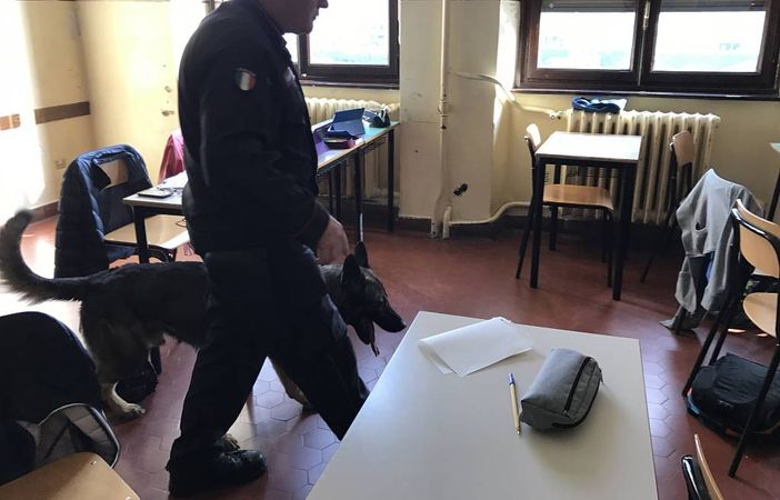 Carabinieri e cinofili in servizio preventivo al Bona FOTOGALLERY