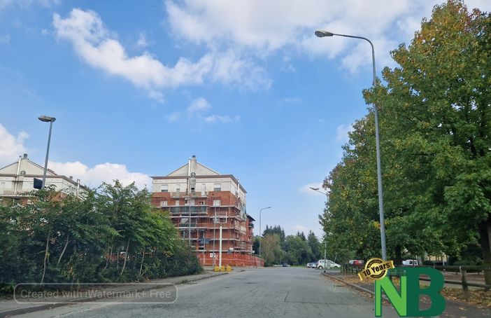 Emergenza topi in via Ottolenghi a Chiavazza, la risposta di ATC Emergenza topi in via Ottolenghi a Chiavazza, la risposta di ATC