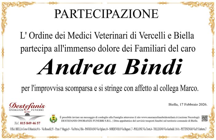 Andrea Bindi - Partecipazione